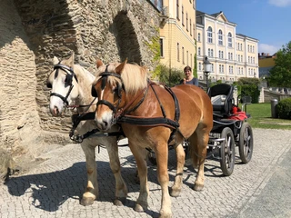 Kutschfahrten durch das fürstlich vogtländische Greiz