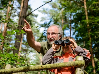 Naturbeobachtungen in der Dahlener Heide