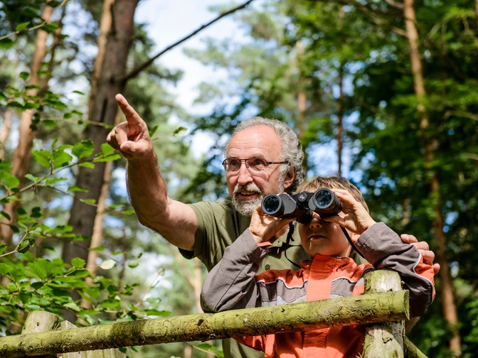 Naturbeobachtungen in der Dahlener Heide