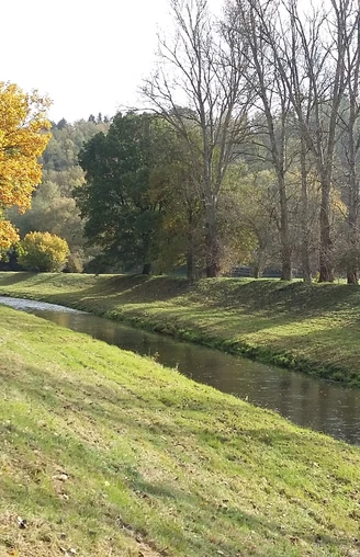 Elstertal bei Straßberg