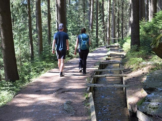 Wanderung am Röhrgraben