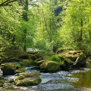 Im Triebtal bei Jocketa / Vogtländische Schweiz