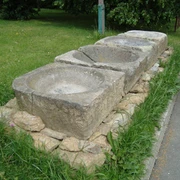 Griebenherde in Reumtengrün