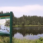 Großer Hirschteich bei Albertsberg