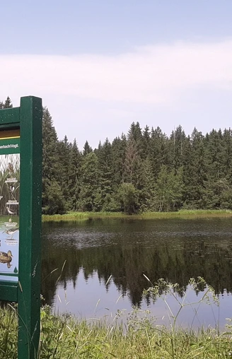 Großer Hirschteich bei Albertsberg