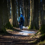 Promenadenweg (Winterwanderroute 28 Götzinger Höhe)