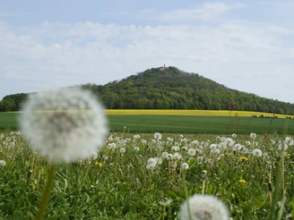 Landeskrone, Görlitz