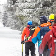Stonemen on Snow
