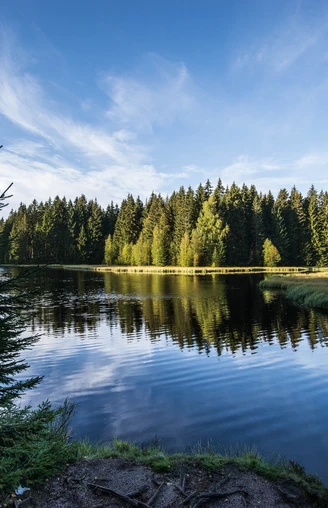Vogtlandsee im Sommer