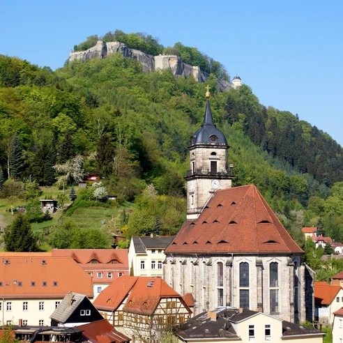 Blick auf die Festung Königstein