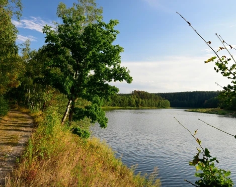 Leubatalsperre Wanderweg Ostufer