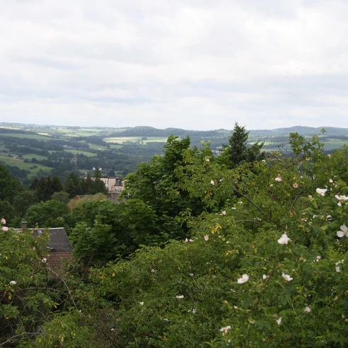 Blick vom Taubenhübel