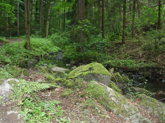 Wildromantisches Nymphental