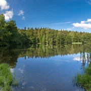 Schlötenteich im Greiz-Werdauer Wald