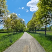 Tour Durch das Waldhaus Revier Greiz