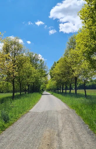 Tour Durch das Waldhaus Revier Greiz