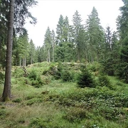 Pfaffenstein nahe Schneckenstein