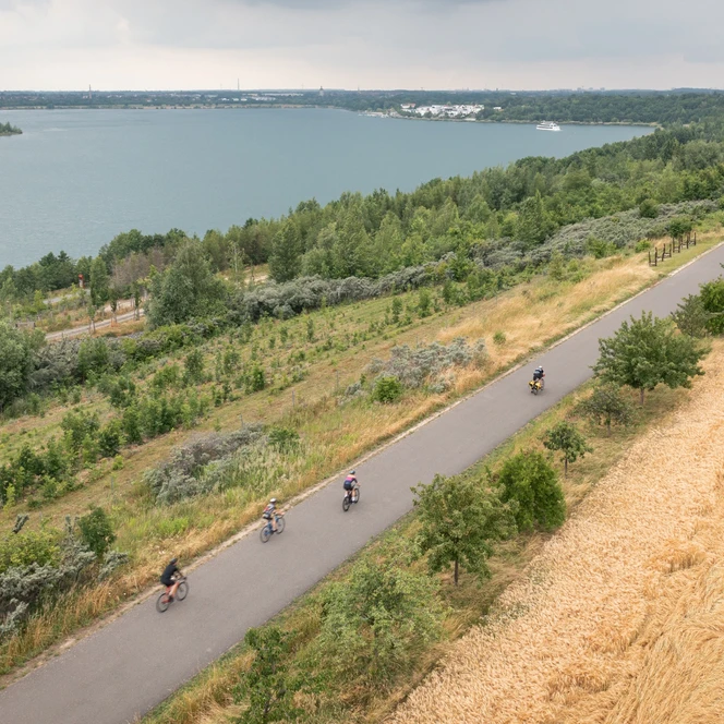 Der Radweg am Markkleeberger See