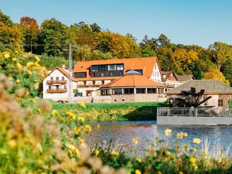 Muldeblick auf die Schiffsmühle in Höfgen