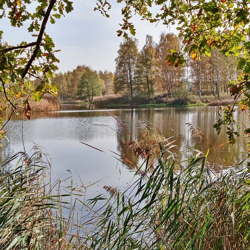 Waldsee Biehain