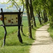 Bienenlehrpfad Görlitz/Schlauroth