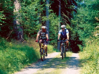 Radfahrer im Wald