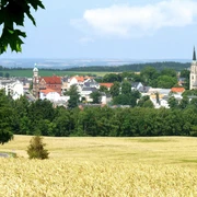 Blick auf Falkenstein mit Kirche