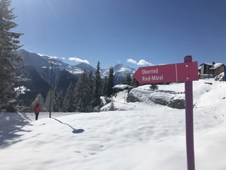 Winterwanderung von der Riederalp via Oberried nach Ried-Mörel