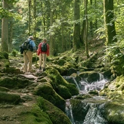 Wanderer in der Gertelbach