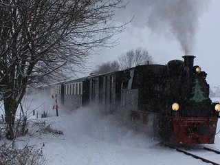 Nikolaus_Selfkantbahn.jpg Winterlandschaft mit Dampflok, umgeben von Schnee und kahlen Bäumen.