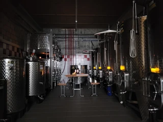 Hochdorf_Winzer Rafael Schacher_Weinkeller2