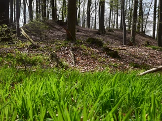 RI 5 Drei-Burgen-Route Osterburg