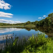Der Steinbruchsteich in Bad Sachsa