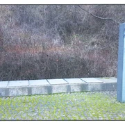 Bereich der Erinnerungssteele Gedenkstätte KZ Watenstedt/Leinde