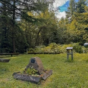 Bloße Zelle Grünenplan