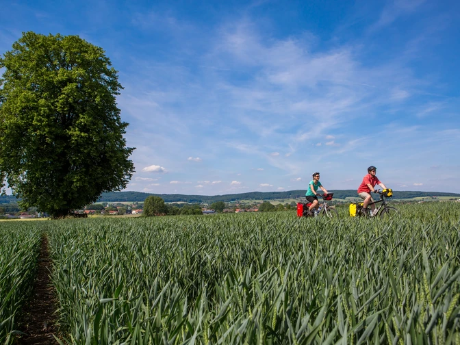 Sommerliche Landschaft im Osnabrücker Land