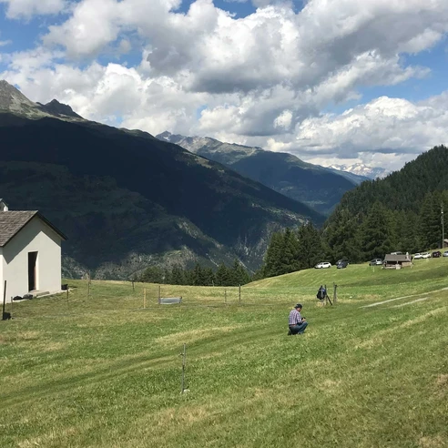 Rundwanderung von Mörel-Filet zur Tunetschalp und zurück