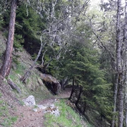 Wanderung vom Fieschertal über Fiesch nach Lax via "Laggeraweg"