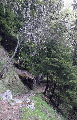 Wanderung vom Fieschertal über Fiesch nach Lax via "Laggeraweg"