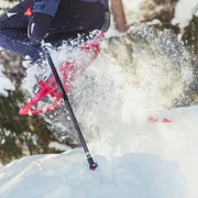 Spass im Pulverschnee