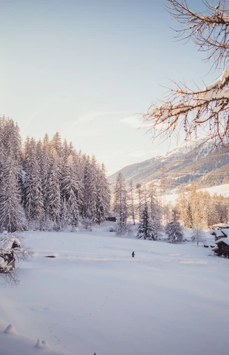 Verschneite Winterlandschaft im Bergdorf Reckingen