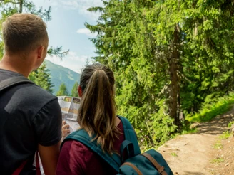 Orientierung auf Wanderschaft