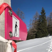 Unterwegs auf dem Schneeschuhtrail Blaswald