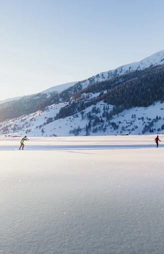 Langlaufen im warmen Abendlicht