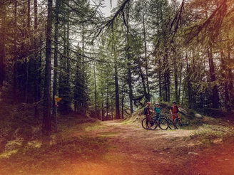 Mountainbiker im Wald von Sädol Richtung Col du Gibidum