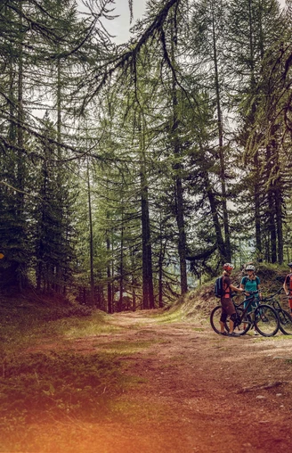 Mountainbiker im Wald von Sädol Richtung Col du Gibidum