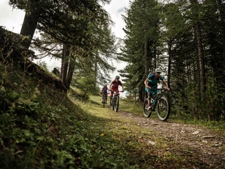 Mountainbiker im Wald von Sädol in Richtung Col du Gibidum