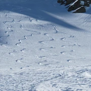 Skitouren Simplon