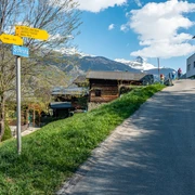 Abzweigung in Termen