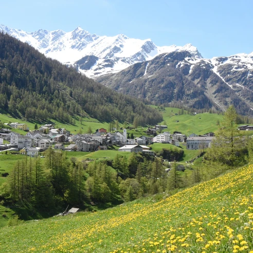 Blick auf Simplon Dorf